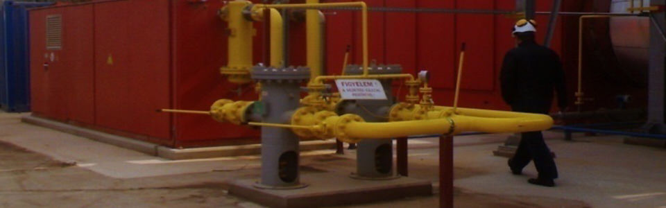 HUNGRANA implementation of CHP system